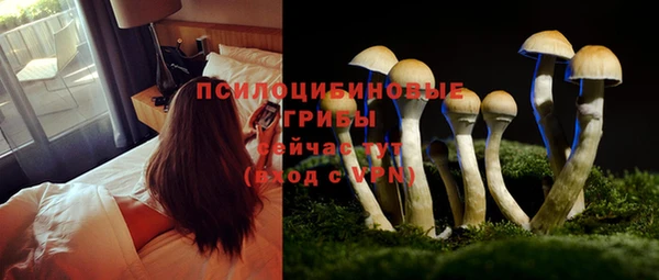 МДПВ Абаза