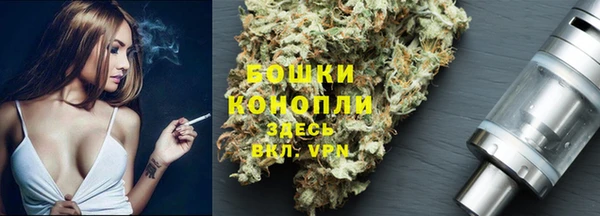 соль ск Алзамай