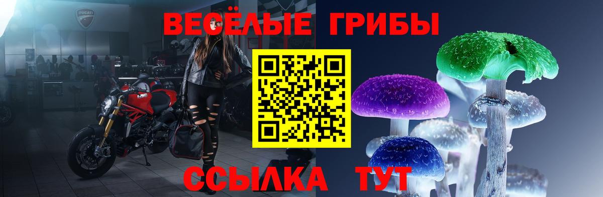 Галлюциногенные грибы Psilocybine cubensis  Вход с VPN  Зерноград  как найти   Псилоцибиновые грибы прущие грибы 
