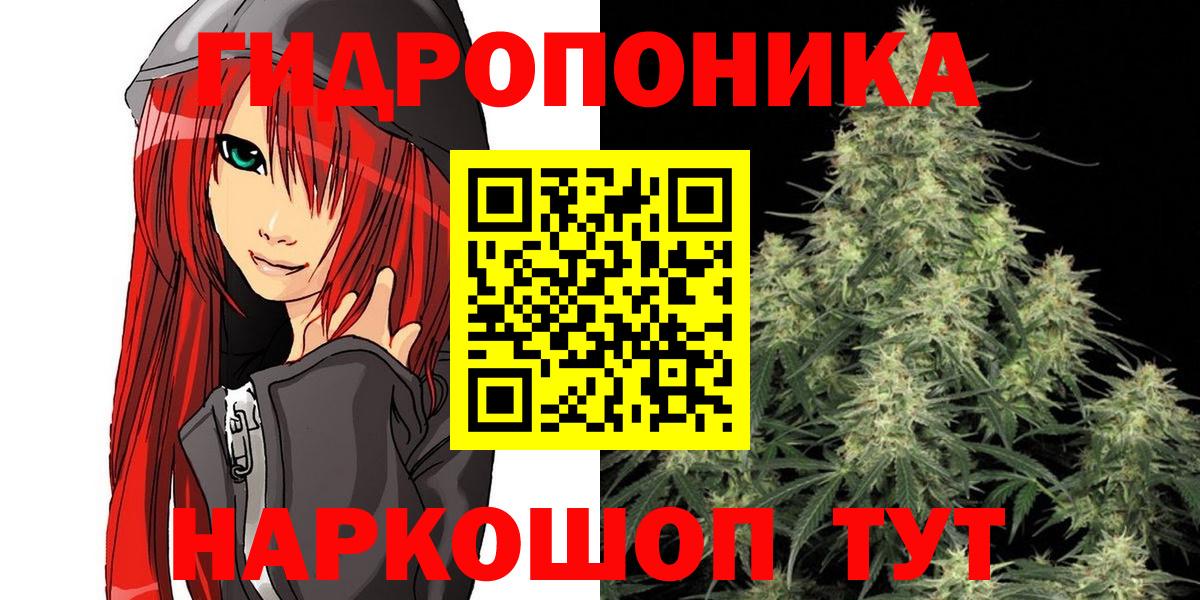 Шишки марихуана план Зерноград